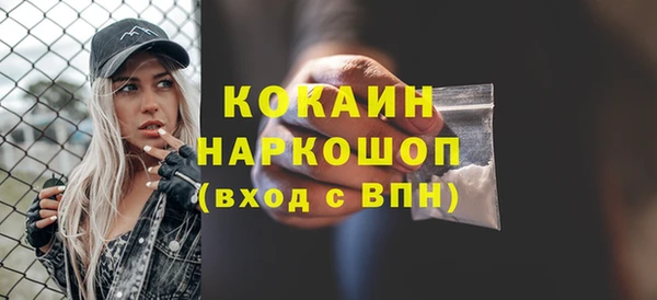 спиды Магас