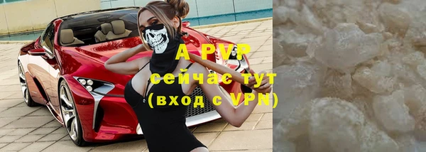 ПСИЛОЦИБИНОВЫЕ ГРИБЫ Белокуриха